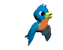 Mr. Bluebird