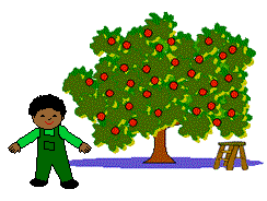 Boy in front of apple tree
