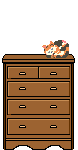 Cat on Dresser 