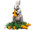 Rabbit Eating Carrots