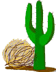 Tumbleweed and Cactus