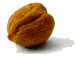 Nut (Walnut)